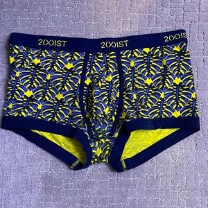 Mens 2xist trunks